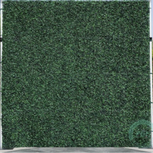 Green Wall $500