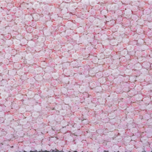 Pink and White Roses Wall $500