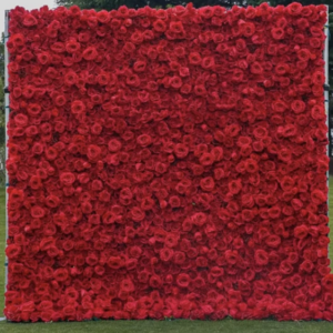 Red Roses Wall $500